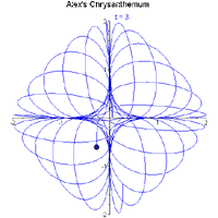 Alex's Chrysanthemum
